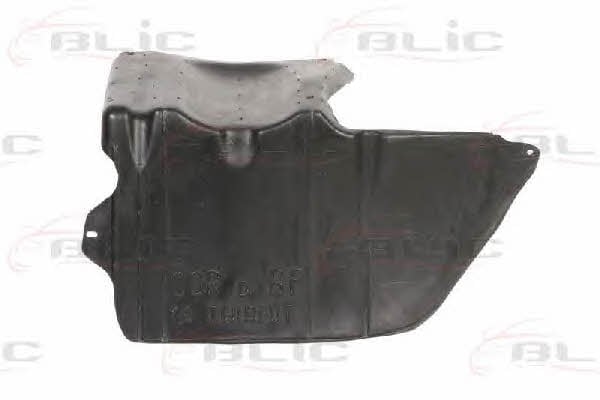 Blic 6601-02-5024891P Engine cover 6601025024891P: Buy near me in Poland at 2407.PL - Good price!