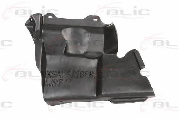 Blic 6601-02-0550872P Engine cover 6601020550872P: Buy near me in Poland at 2407.PL - Good price!