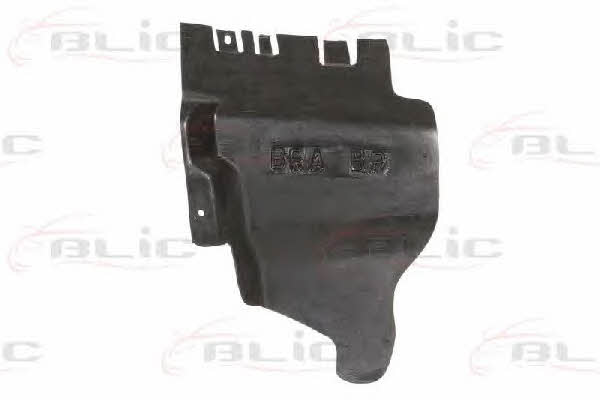 Blic 6601-02-2026871P Engine cover 6601022026871P: Buy near me in Poland at 2407.PL - Good price!