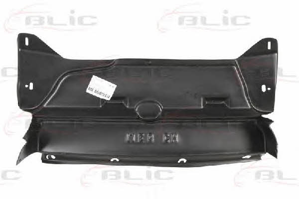 Blic 6601-02-6037880P Engine cover 6601026037880P: Buy near me in Poland at 2407.PL - Good price!