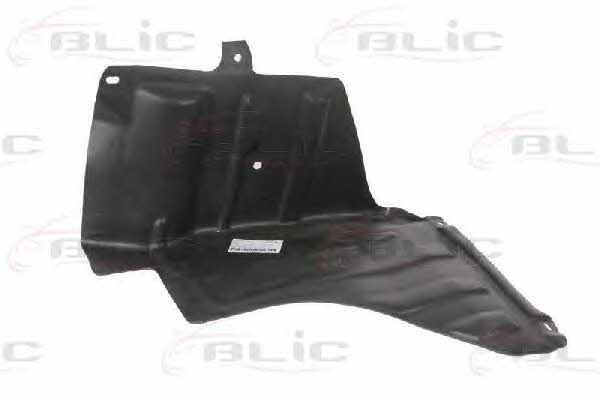 Blic 6601-02-1132871P Engine cover 6601021132871P: Buy near me in Poland at 2407.PL - Good price!