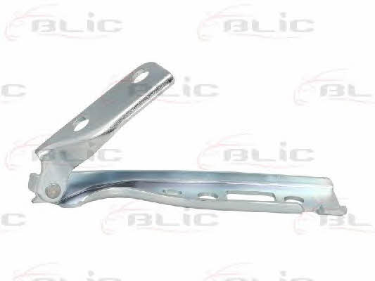 Hood hinge Blic 6802-00-2564454P