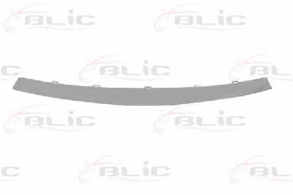 Molding radiator grille Blic 6502-07-1310991P