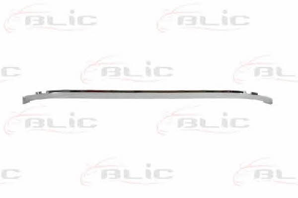 Blic 5513-00-5537920P Molding bumper grille 5513005537920P: Buy near me in Poland at 2407.PL - Good price!