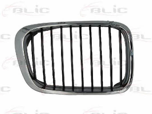 Blic 6502-07-0061994P Grille radiator 6502070061994P: Buy near me at 2407.PL in Poland at an Affordable price!