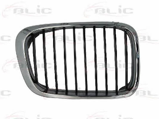 Blic 6502-07-0061994P Grille radiator 6502070061994P: Buy near me in Poland at 2407.PL - Good price!