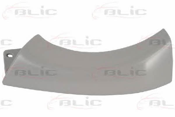 Headlight strip Blic 6502-07-1103211P