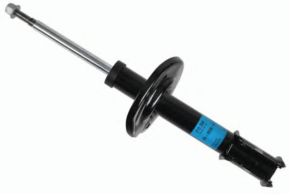 Boge 30-M36-A Front oil and gas suspension shock absorber 30M36A: Buy near me at 2407.PL in Poland at an Affordable price!