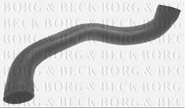 Borg & beck BTH1351 Charger Air Hose BTH1351: Buy near me in Poland at 2407.PL - Good price!