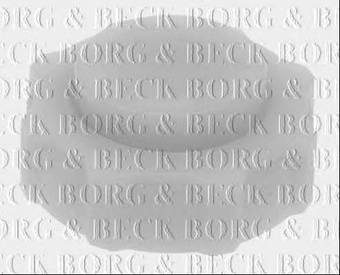 Borg & beck BRC126 Radiator cover BRC126: Buy near me in Poland at 2407.PL - Good price!