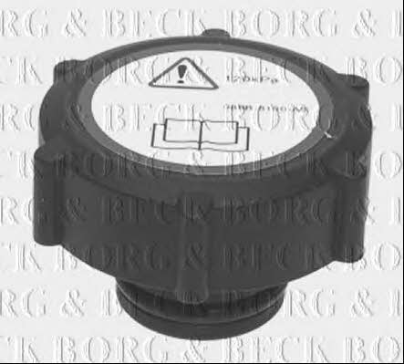 Borg & beck BRC115 Radiator cover BRC115: Buy near me in Poland at 2407.PL - Good price!