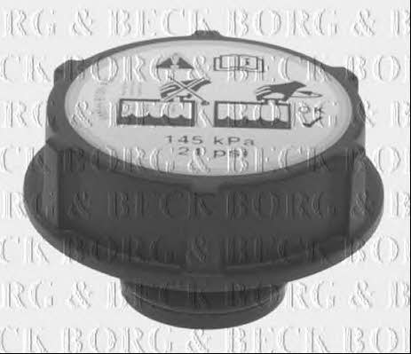 Borg & beck BRC119 Radiator cover BRC119: Buy near me in Poland at 2407.PL - Good price!