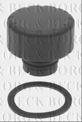 Borg & beck BRC122 Radiator cover BRC122: Buy near me in Poland at 2407.PL - Good price!