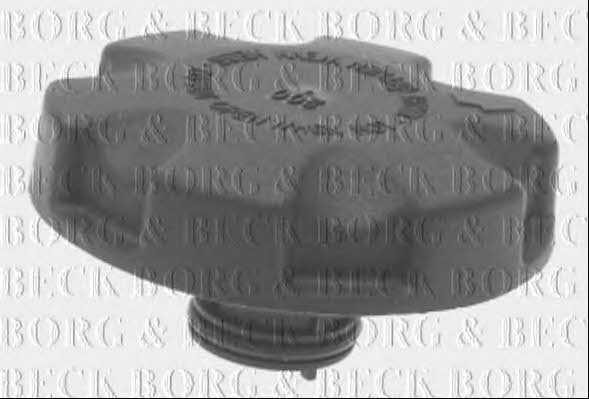 Borg & beck BRC125 Radiator cover BRC125: Buy near me in Poland at 2407.PL - Good price!