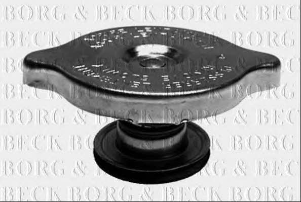 Borg & beck BRC60 Radiator cover BRC60: Buy near me in Poland at 2407.PL - Good price!
