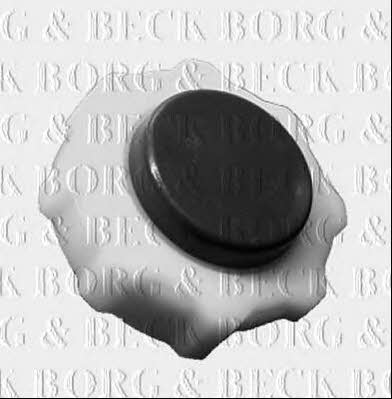 Borg & beck BRC97 Крышка радиатора BRC97: Отличная цена - Купить в Польше на 2407.PL!