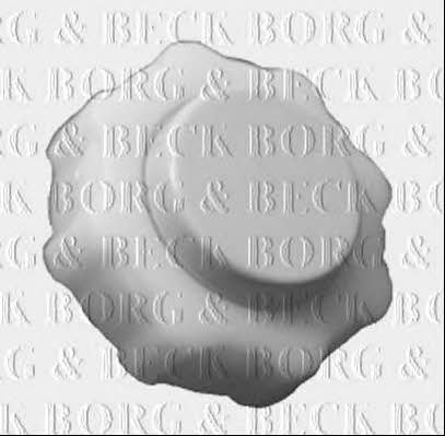 Borg & beck BRC98 Radiator cover BRC98: Buy near me at 2407.PL in Poland at an Affordable price!