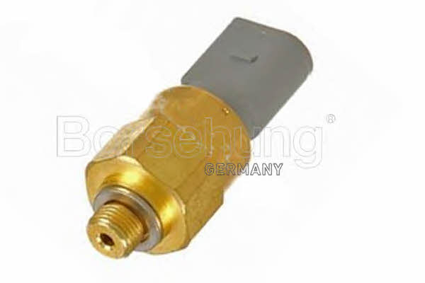 Borsehung B13135 Oil pressure sensor B13135: Buy near me in Poland at 2407.PL - Good price!