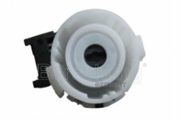 Borsehung B11428 Ignition-/Starter Switch B11428: Buy near me in Poland at 2407.PL - Good price!