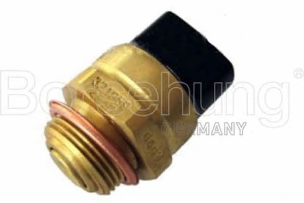 Borsehung B13131 Fan switch B13131: Buy near me in Poland at 2407.PL - Good price!