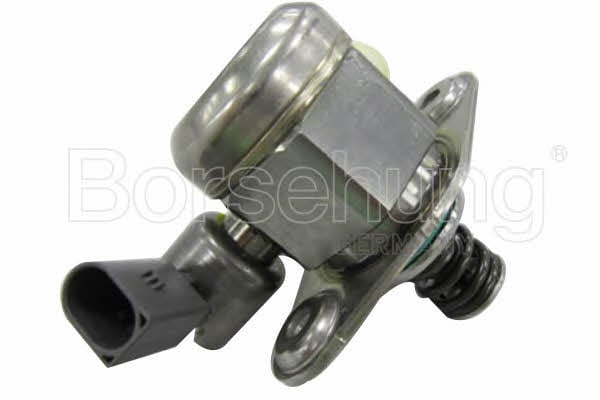 Borsehung B13662 Injection Pump B13662: Buy near me at 2407.PL in Poland at an Affordable price!