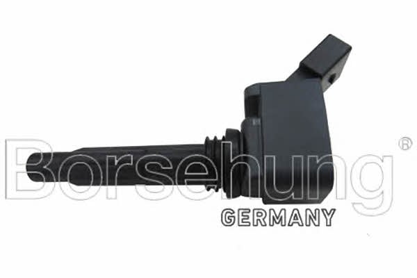 Borsehung B15118 Ignition coil B15118: Buy near me at 2407.PL in Poland at an Affordable price!
