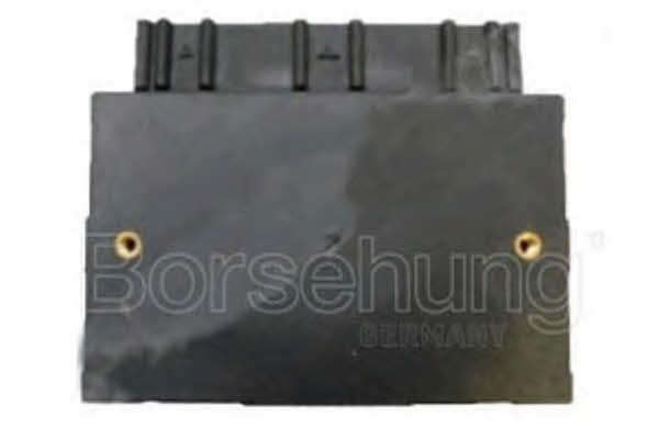 Borsehung B11439 Control Unit, central locking system B11439: Buy near me in Poland at 2407.PL - Good price!