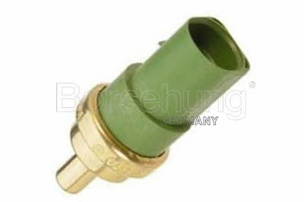 Borsehung B13132 The temperature sensor in the passenger compartment B13132: Buy near me in Poland at 2407.PL - Good price!