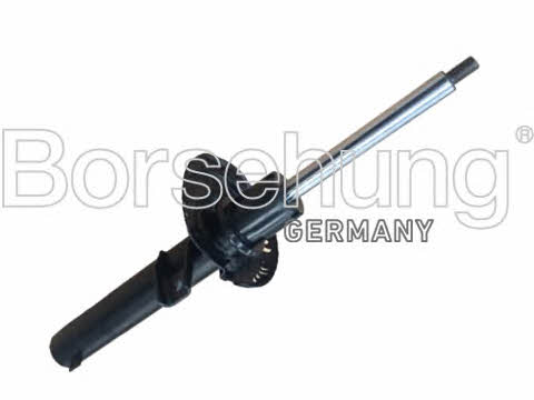 Borsehung B14724 Front oil and gas suspension shock absorber B14724: Buy near me in Poland at 2407.PL - Good price!