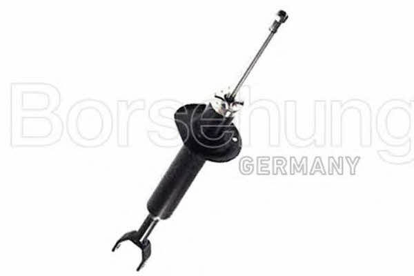 Borsehung B12142 Front oil and gas suspension shock absorber B12142: Buy near me in Poland at 2407.PL - Good price!