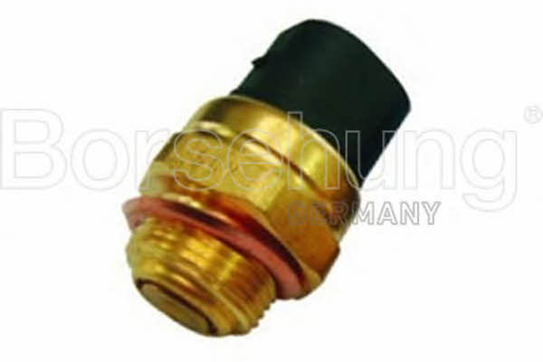 Borsehung B13130 Fan switch B13130: Buy near me in Poland at 2407.PL - Good price!