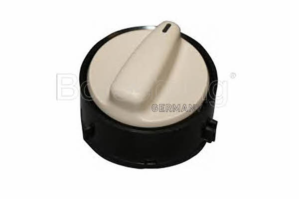 Borsehung B11431 Movable roof control switch B11431: Buy near me in Poland at 2407.PL - Good price!
