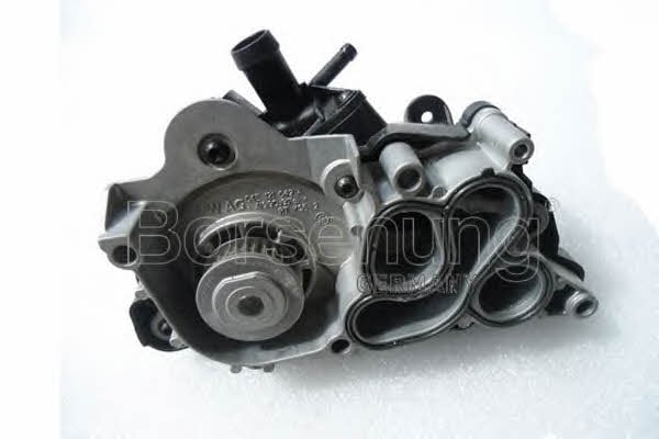 Borsehung B12692 Water pump B12692: Buy near me at 2407.PL in Poland at an Affordable price!