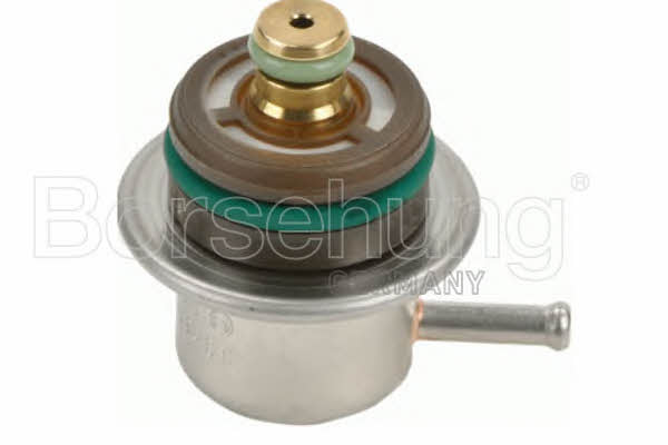 Borsehung B13669 Fuel pulsation damper B13669: Buy near me in Poland at 2407.PL - Good price!