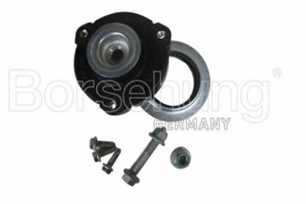 Borsehung B14300 Strut bearing with bearing kit B14300: Buy near me in Poland at 2407.PL - Good price!