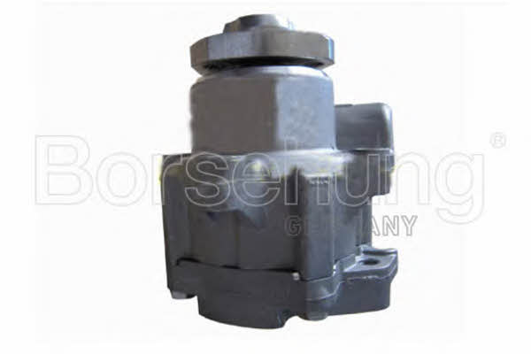 Borsehung B13213 Hydraulic Pump, steering system B13213: Buy near me in Poland at 2407.PL - Good price!