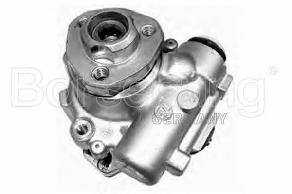 Borsehung B13215 Hydraulic Pump, steering system B13215: Buy near me in Poland at 2407.PL - Good price!