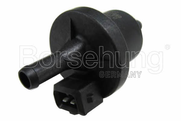 Borsehung B13667 Fuel tank vent valve B13667: Buy near me in Poland at 2407.PL - Good price!