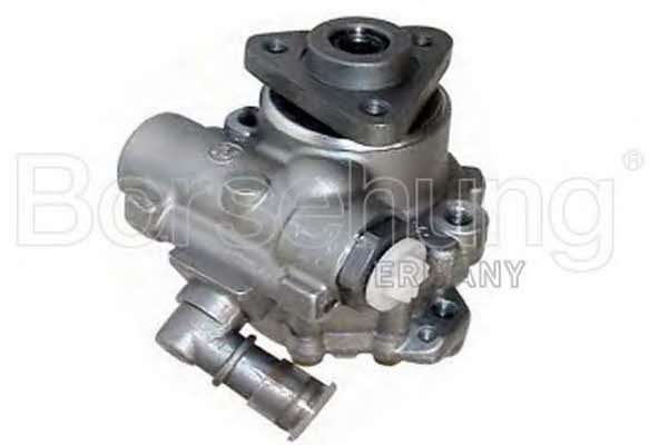 Borsehung B13210 Hydraulic Pump, steering system B13210: Buy near me in Poland at 2407.PL - Good price!