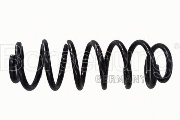 Borsehung B12626 Suspension spring front B12626: Buy near me in Poland at 2407.PL - Good price!