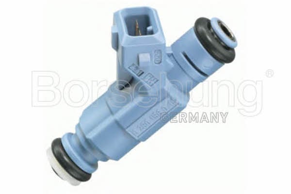 Borsehung B13668 Injector fuel B13668: Buy near me in Poland at 2407.PL - Good price!