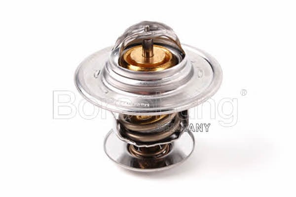 Borsehung B13141 Thermostat, coolant B13141: Buy near me in Poland at 2407.PL - Good price!