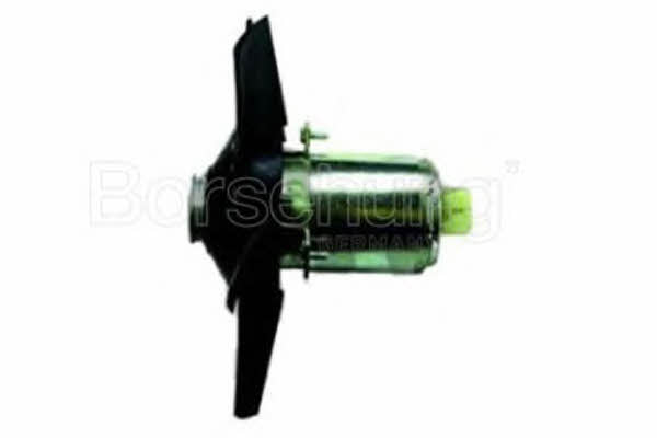 Borsehung B11489 Hub, engine cooling fan wheel B11489: Buy near me in Poland at 2407.PL - Good price!