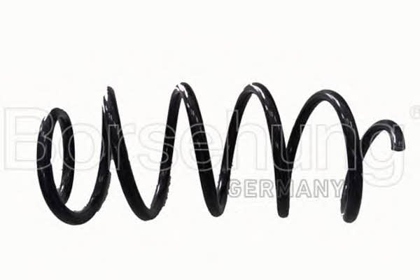 Borsehung B12624 Coil Spring B12624: Buy near me in Poland at 2407.PL - Good price!