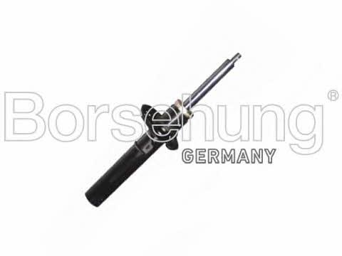 Borsehung B14717 Front oil and gas suspension shock absorber B14717: Buy near me in Poland at 2407.PL - Good price!
