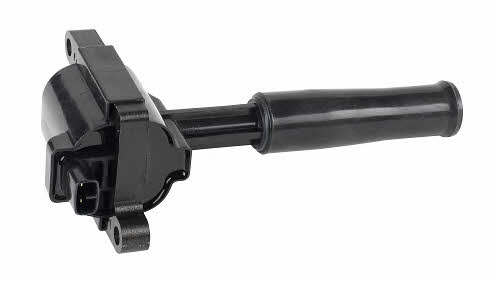 Bougicord 155484 Ignition coil 155484: Buy near me in Poland at 2407.PL - Good price!