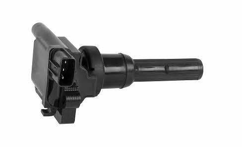 Bougicord 155204 Ignition coil 155204: Buy near me in Poland at 2407.PL - Good price!