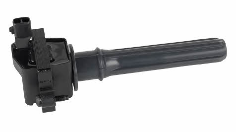 Bougicord 155252 Ignition coil 155252: Buy near me in Poland at 2407.PL - Good price!