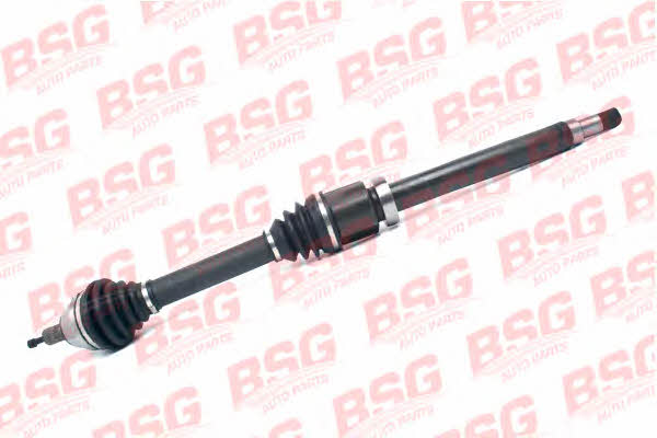 BSG 30-350-009 CV joint 30350009: Buy near me in Poland at 2407.PL - Good price!