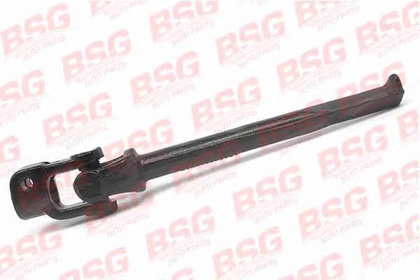 BSG 30-365-002 Steering shaft flexible coupling 30365002: Buy near me in Poland at 2407.PL - Good price!